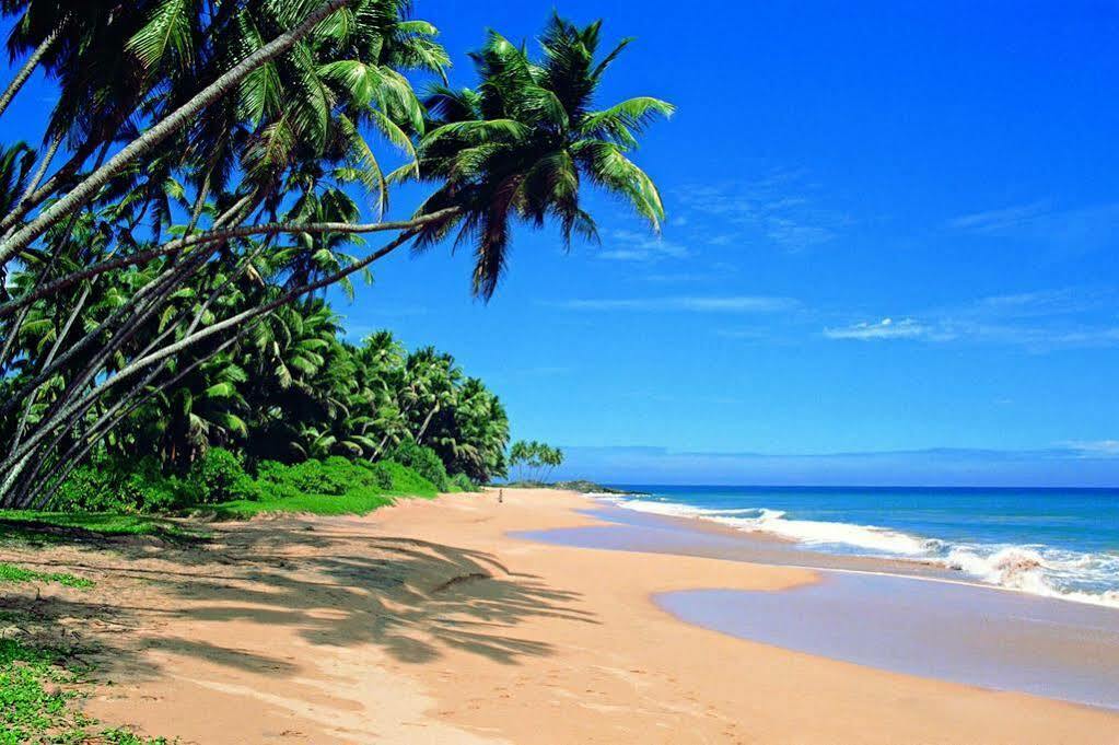 Ocean Breeze Apartment Colombo Eksteriør billede