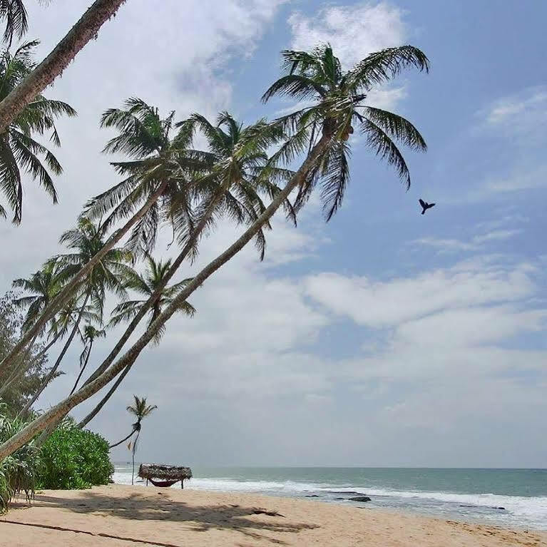 Ocean Breeze Apartment Colombo Eksteriør billede